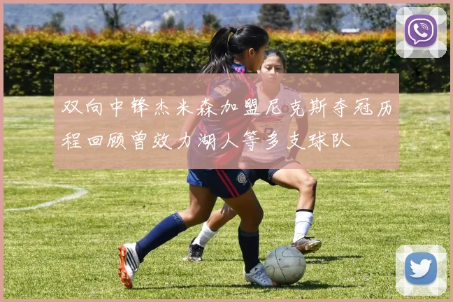 双向中锋杰米森加盟尼克斯夺冠历程回顾曾效力湖人等多支球队