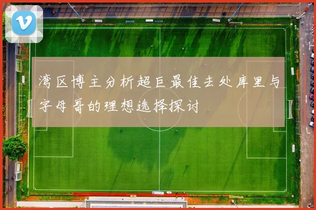 湾区博主分析超巨最佳去处库里与字母哥的理想选择探讨